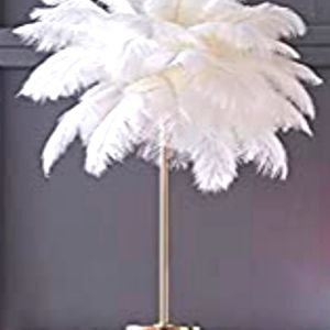 Handcrafted Material Ostrich Feather Light